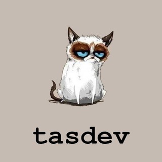 Tashkent developers channel avatar