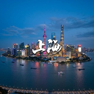 上海中圈理茶榜 channel avatar