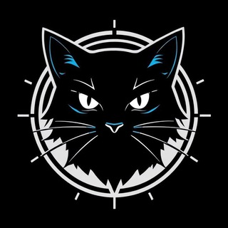 TechCat channel avatar