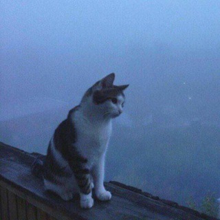 Аватар канала ࣪˖ telegram themes°