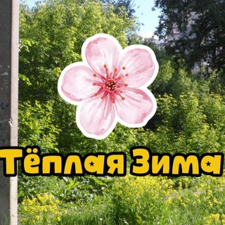 Аватар канала Тёплая Зима