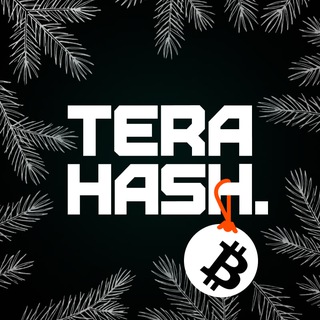 TeraHash channel avatar