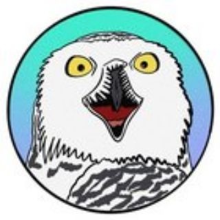 Биполярная сова channel avatar