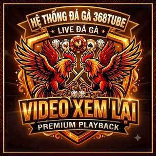 Trường Gà Gold City channel avatar