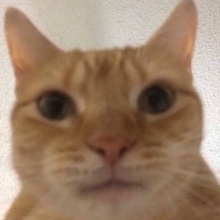 Аватар канала cat
