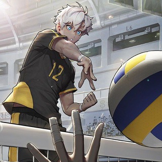 Аватар канала The spike! Volleyball News