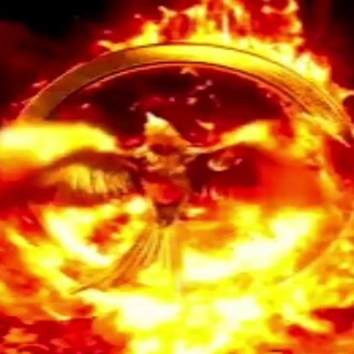 THIS IS NOT TARTARIA - THIS IS EUROPE channel avatar