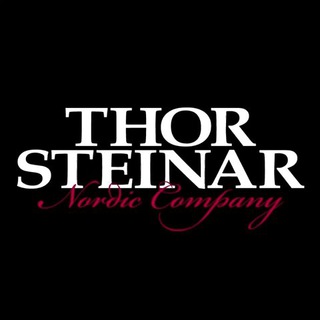 THOR STEINAR channel avatar