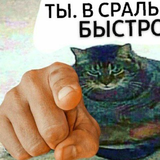 Аватар канала Сегодня я спиздила мем