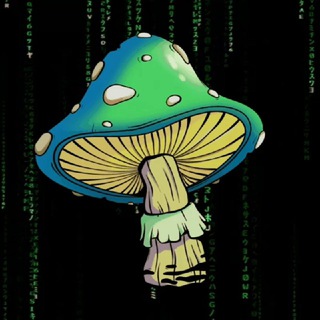 TON MUSHROOMs NFT. channel avatar