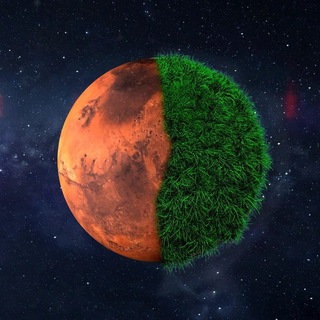 tonplanetsen channel avatar
