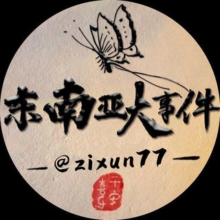 东南亚华人曝光大事件 channel avatar