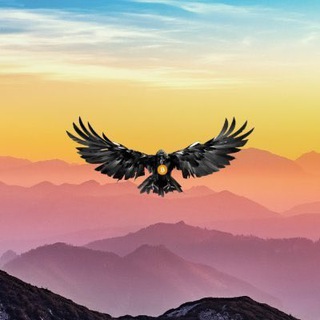 Аватар канала Crypto Raven