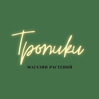 @tropiki_perm channel avatar