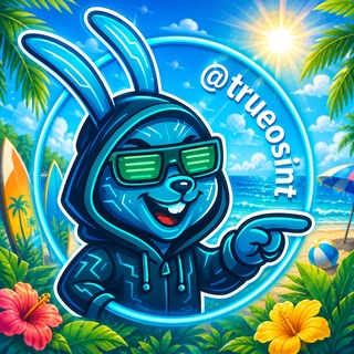 True OSINT channel avatar
