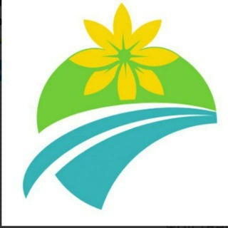 Tsedey Bank S.C channel avatar