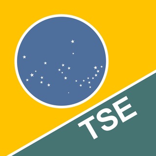 Tribunal Superior Eleitoral channel avatar