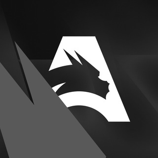 Team Spirit Academy channel avatar