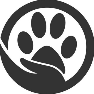 Аватар канала Турция питомцы Стамбул Анталия Алания Фетхие Мерсин Мармарис Бодрум Белек Анкара