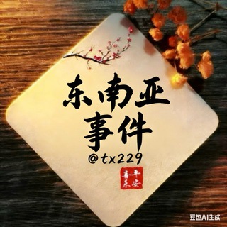 东南亚大事件 channel avatar