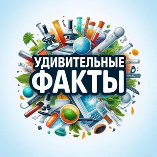 Удивительные факты channel avatar