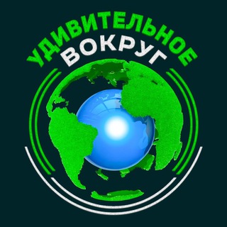 Удивительное вокруг channel avatar