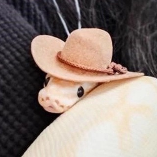 snek chanel channel avatar