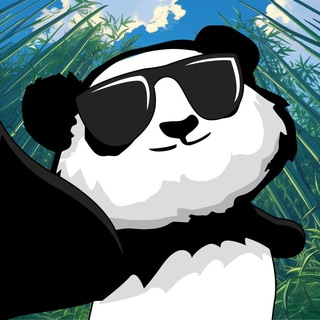 Puni Quest channel avatar