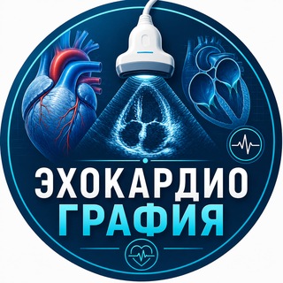 ЭХОКАРДИОГРАФИЯ (Medtrain Asia🇰🇿) channel avatar