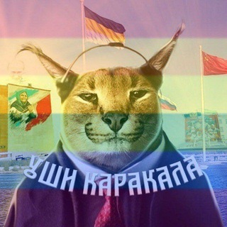 Уши Каракала 🅉 channel avatar
