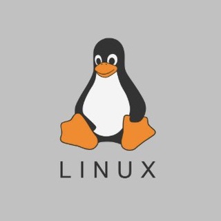 /usr/bin channel avatar