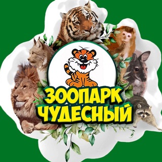 Аватар канала Зоопарк «Чудесный» / Уссурийск-Приморский край .