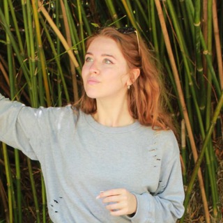 Аватар канала usvayjungle