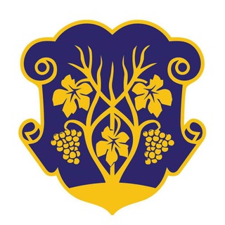 Ужгородська міська рада. Офіційна сторінка channel avatar