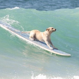 chill english channel avatar