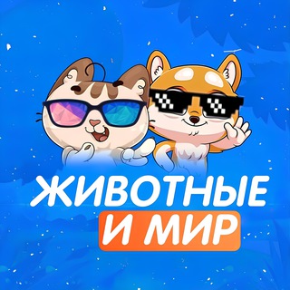 Мир и Животные channel avatar