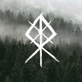 Аватар канала Viking Rise