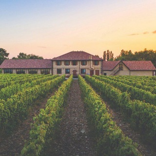 Винотеррия/Nesterov winery channel avatar