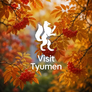 Аватар канала Visit Tyumen | Куда сходить в Тюмени