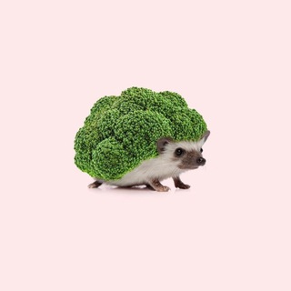 Сытый ЗОЖик channel avatar