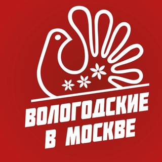 Вологодские в Москве channel avatar