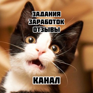 Заработок на заданиях отзывы channel avatar