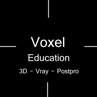 Voxel studios Learning channel avatar