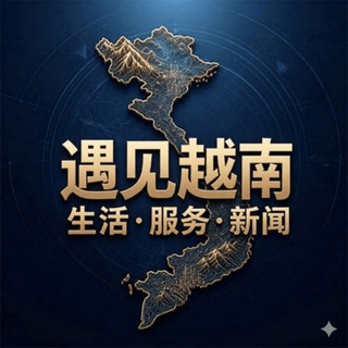 vs111 channel avatar