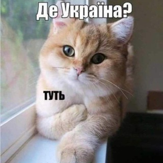 Всратість головного мозку #УкрТґ channel avatar