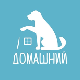 Аватар канала Приют "Домашний": "Выбери меня!"
