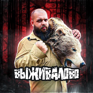 ВЫЖИВАЛОВО channel avatar