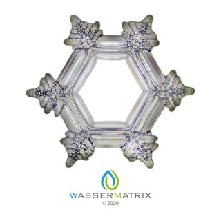 Wassermatrix channel avatar