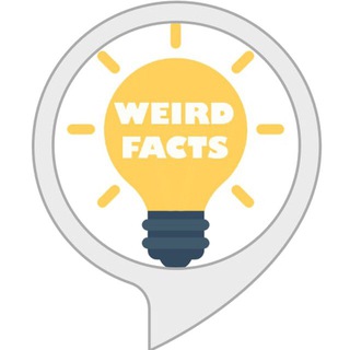 Аватар канала Weird Facts