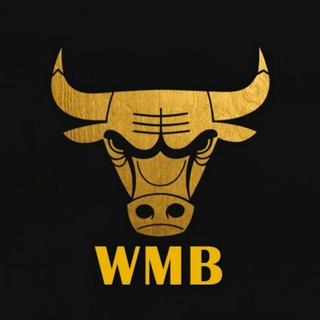 wemakebull channel avatar